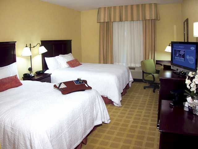 Hampton Inn Baton Rouge - Denham Springs Chambre photo